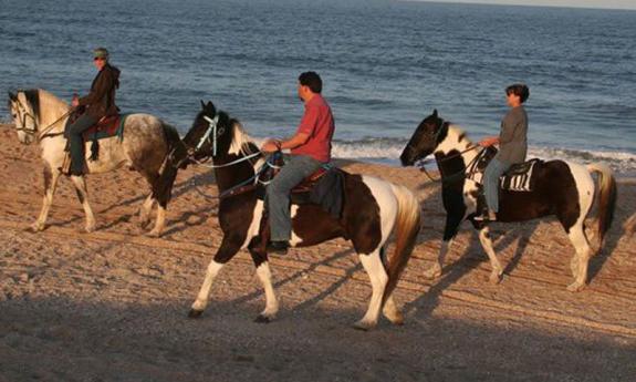 Beach rides by Country Carriages in St. Augustine, Fl. 