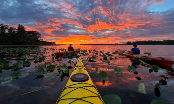 Kayakers facing the sunset on an ecotour near St. Augustine