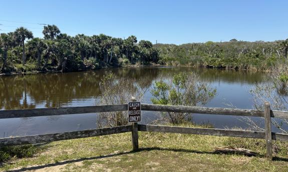 A view of the water on the nature trail