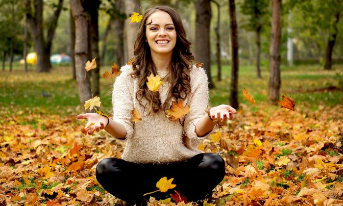 Fall in 168体彩一分钟赛车极速查询赛程与开奖结果直播