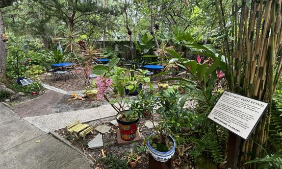 The charming garden with it's historic spring at St. Francis House